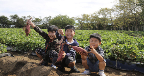 일본 도쿄 치바 마더 목장 티켓 이미지 2