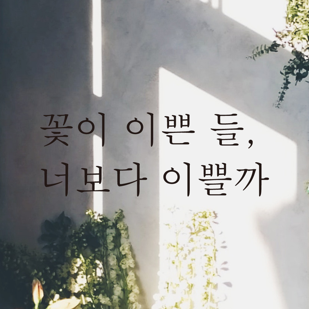 꽃이 이쁜 들 너보다 이쁠까 레터링 스티커 L-048S검정 - 상세 이미지 3