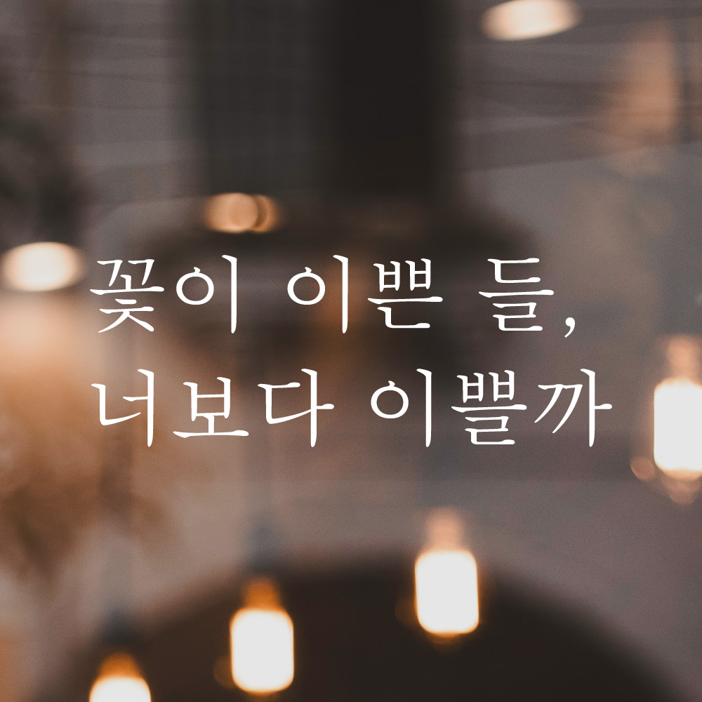 꽃이 이쁜 들 너보다 이쁠까 레터링 스티커 L-048S검정 - 상세 이미지 2