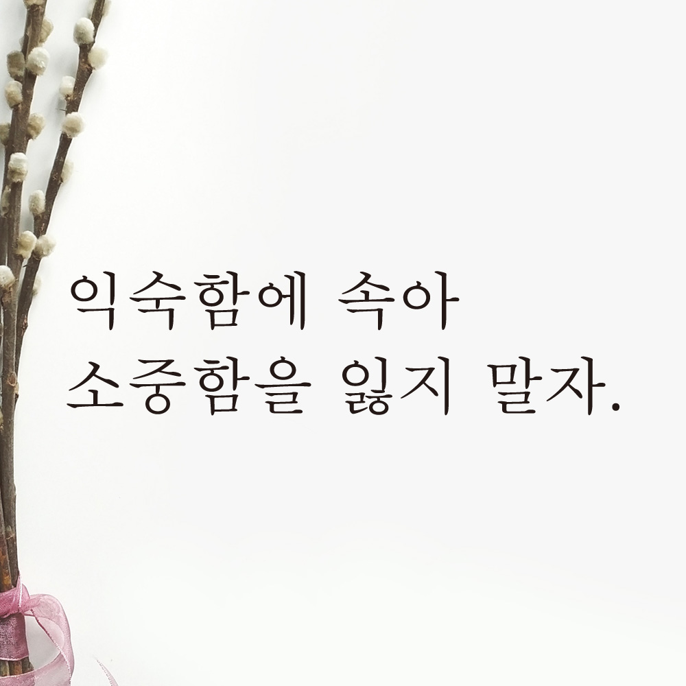 레터링 글자 스티커 익숙함에 속아 소중함을 잃지 말자 검정S - 상품 이미지