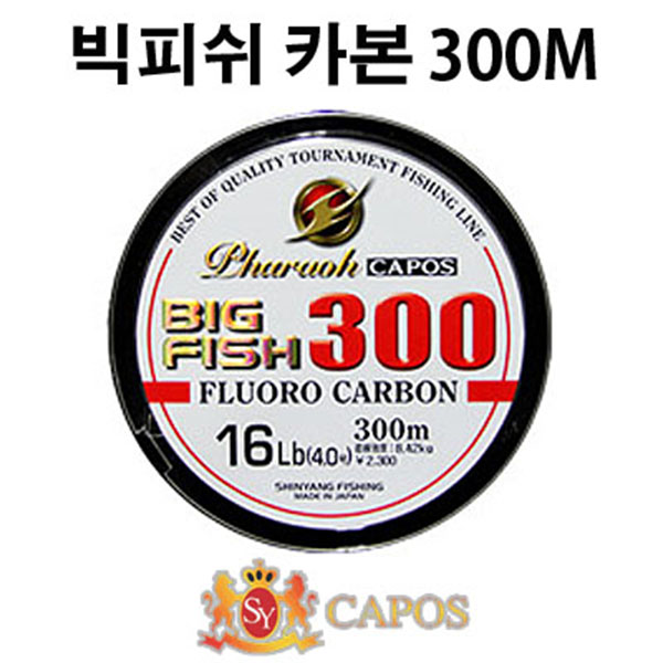 카포스 빅피쉬 300M 카본라인 배스라인 6LB - 메인 이미지