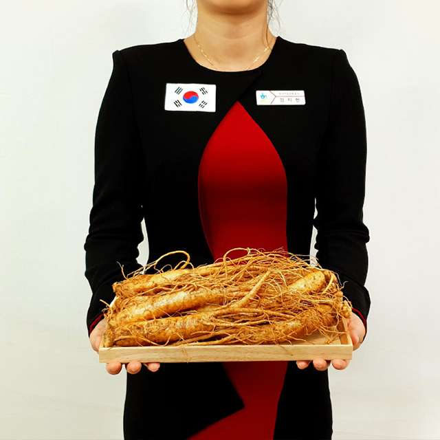 6년근 인삼 세척수삼 금산인삼 생삼 4호 (1124) 이미지 8