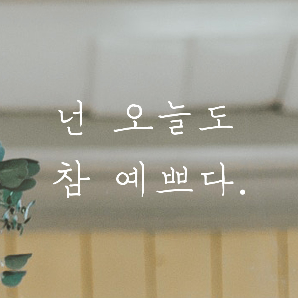 넌 오늘도 참 예쁘다 손글씨 레터링 스티커 LH-016S검정 - 상세 이미지 4