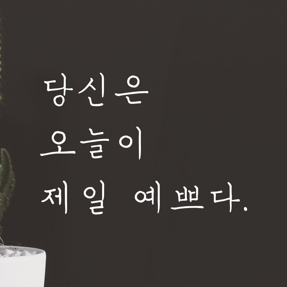 당신은 오늘이 제일 예쁘다 손글씨 레터링 스티커 LH-020S검정 - 상세 이미지 2