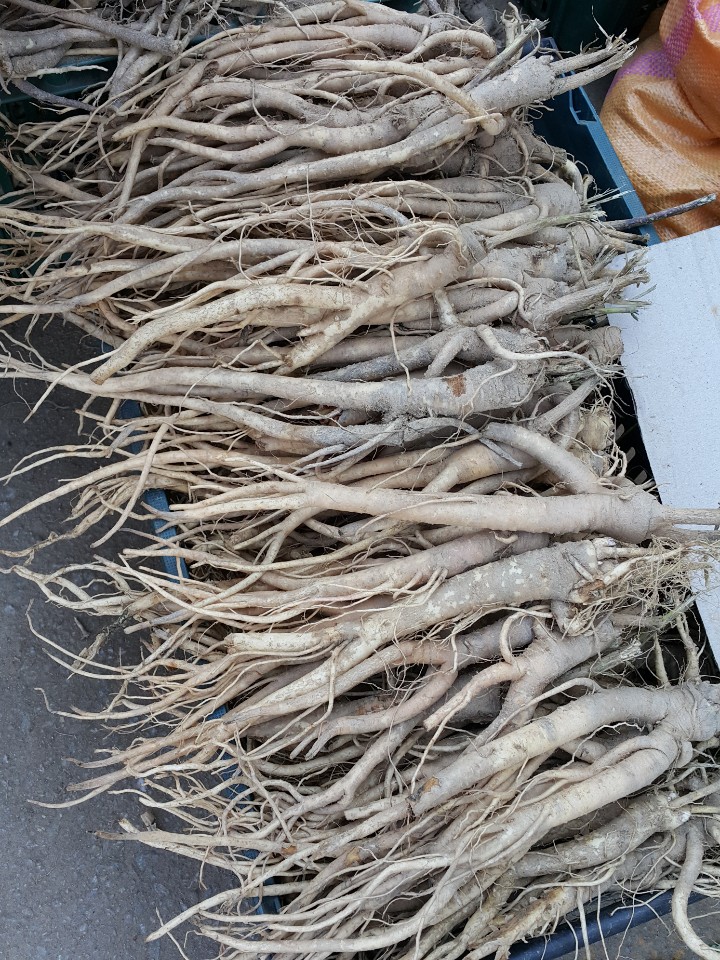 국산 도생배대추진액 생강청 도라지청 대추청 수제과일청 300g 답례품 선물세트 - 상세 이미지 4