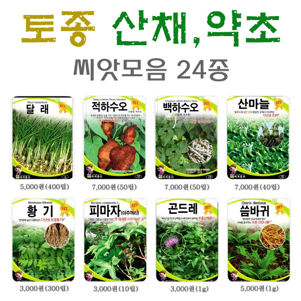 토종산채약초씨앗/곤달비 달래 고수 황기 더덕 냉이 곤드레 땅두릅 고들빼기 씀바귀 인삼 씨앗 (,) : 참쉬운수경재배