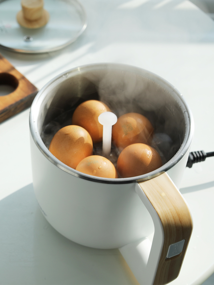 단미 라면포트 전기포트 멀티쿠커 여행용 캠핑용 샤브샤브 전골냄비 1L EK05