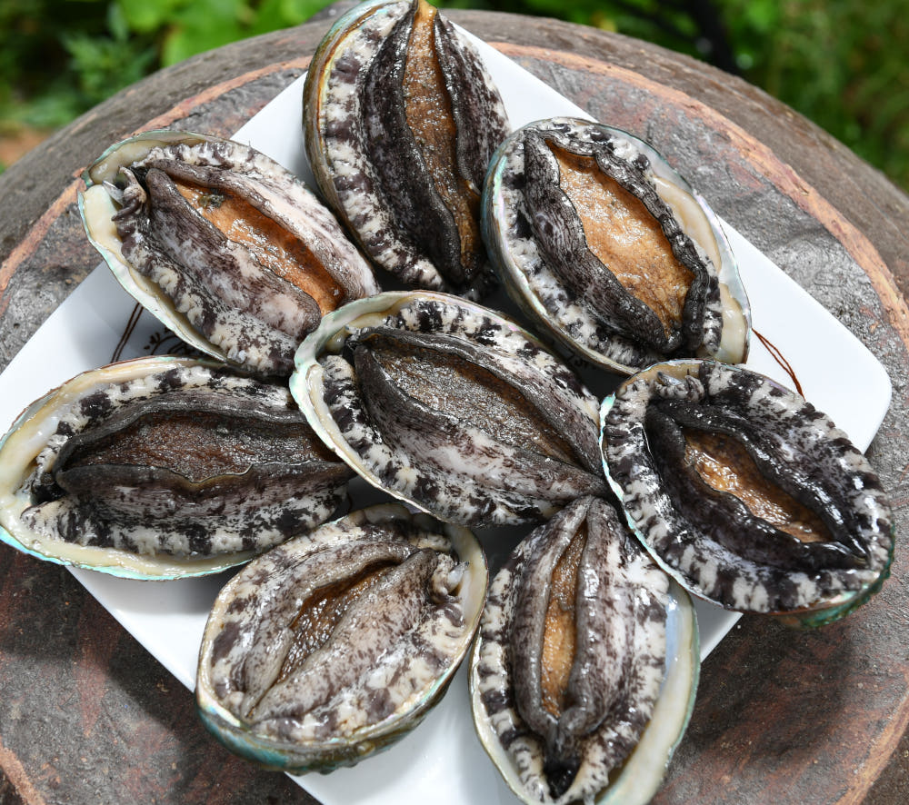 전복 비교 분석 이미지