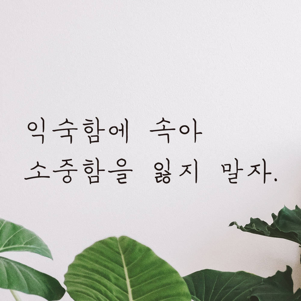 익숙함에 속아 소중함을 잃지 말자 손글씨 명언 레터링 스티커 LH-030S검정 - 상품 이미지