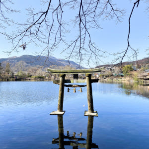 [유후인ONLY] 일본 후쿠오카 1일 버스투어 현지 여행 유투어버스 최소... 솔직 후기 | 실사용자 리뷰 분석 - 상품 이미지 3