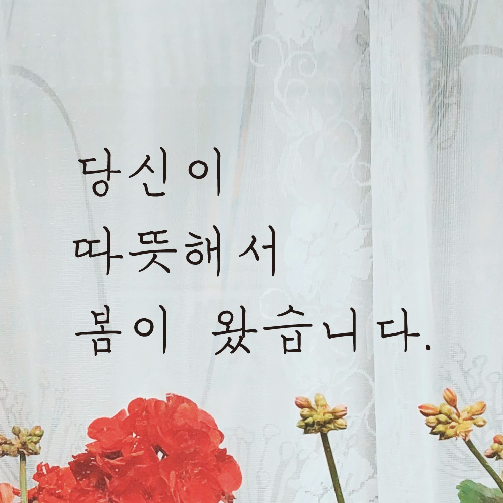 당신이 따뜻해서 봄이 왔습니다 손글씨 레터링 스티커 LH-032S검정 - 상품 이미지