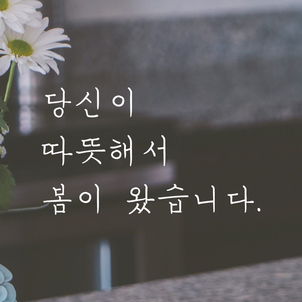 당신이 따뜻해서 봄이 왔습니다 손글씨 레터링 스티커 LH-032S검정 - 상세 이미지 2