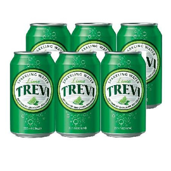 [롯데] 탄산수 트레비 라임 355mlx24CAN/BOX : 오피스플러스