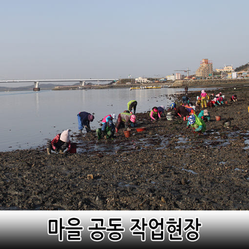 thumbnail-8
