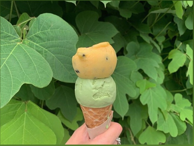 리얼 수제 아이스크림 미니컵 6개 디저트 카페맛집 콜드레시피 - 상세 이미지 3