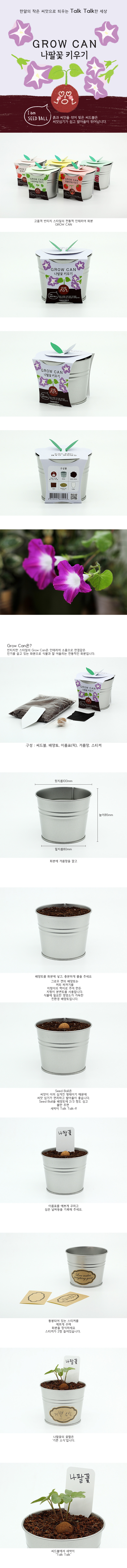 ><br><p style=