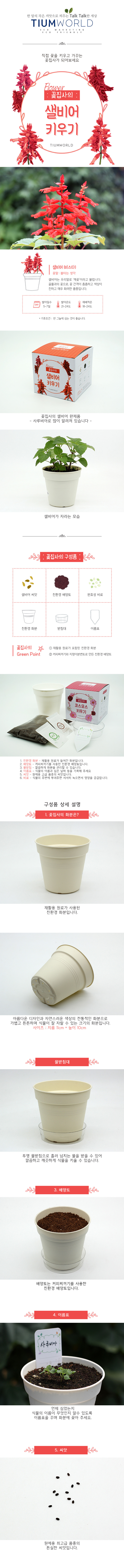 ><br><p style=