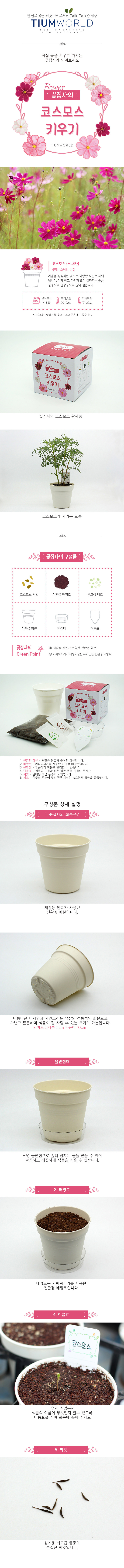><br><p style=