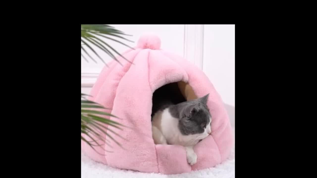 고양이 강아지 돔하우스 : 마브펫