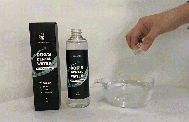 정글몬스터 마시는 강아지 치약 독 덴탈워터 애견 입냄새 제거 치석 양치 250ml, 2개