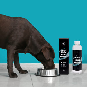 정글몬스터 마시는 강아지 치약 독 덴탈워터 애견 입냄새 제거 치석 양치 ... 솔직 후기 | 실제 사용자 리뷰 총정리 - 상품 이미지 2