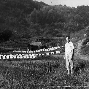 진해양봉 프리미엄등급 벌꿀 국산 아카시아꿀 2.4kg 답례품 꿀 선물 세... 맛있게 먹은 솔직 후기 - 상품 이미지 3