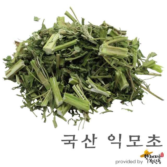 국산 익모초 600g, 육모초 - 상품 이미지