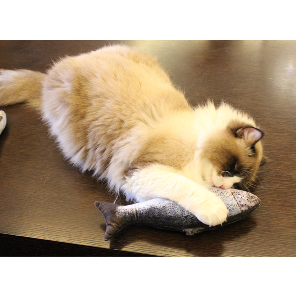 물고기인형 고양이 캣닢 쿠션 장난감 니모 생선 20CM - 상세 이미지 3
