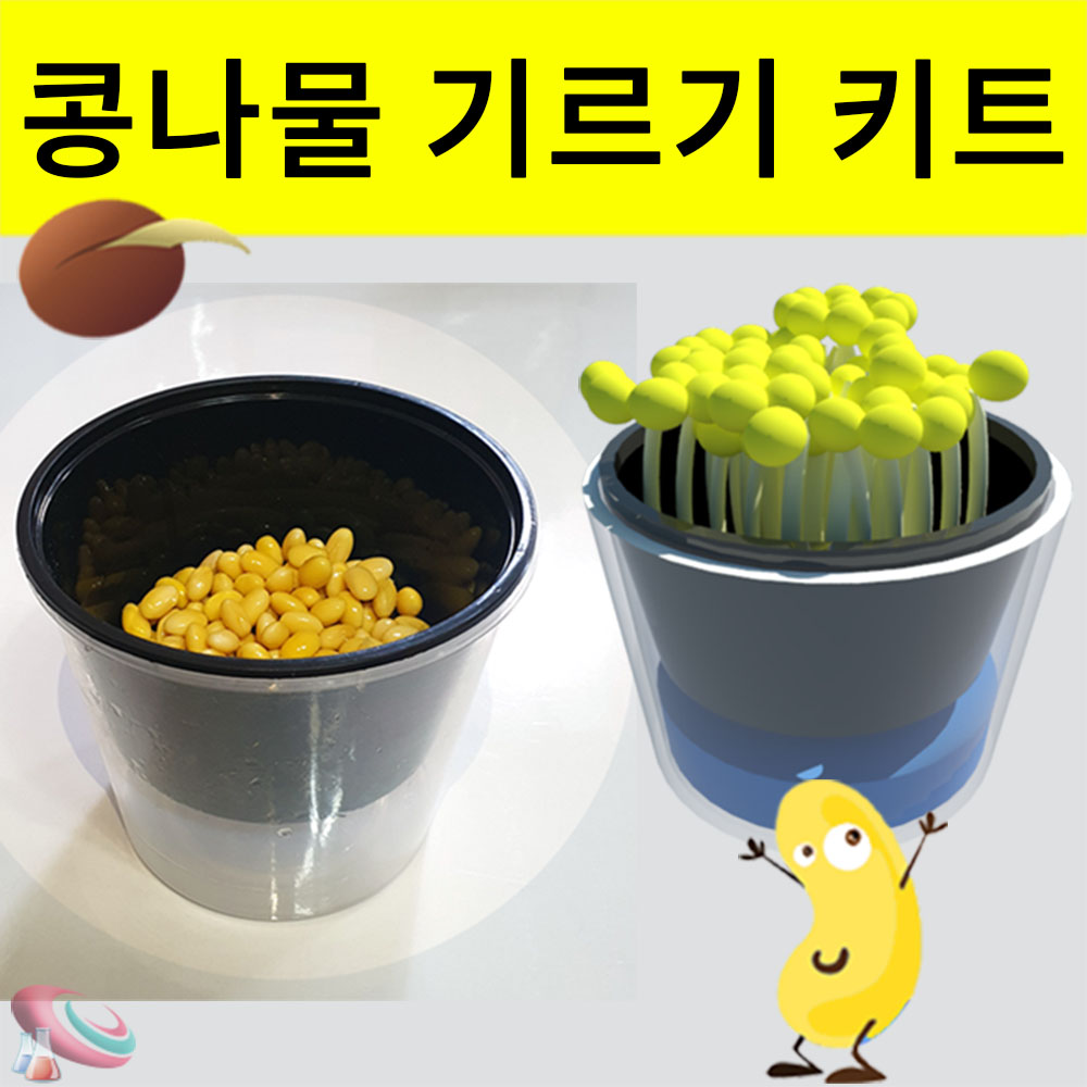 집에서 콩나물 키우기 세트 식물키트 1인용 - 상품 이미지
