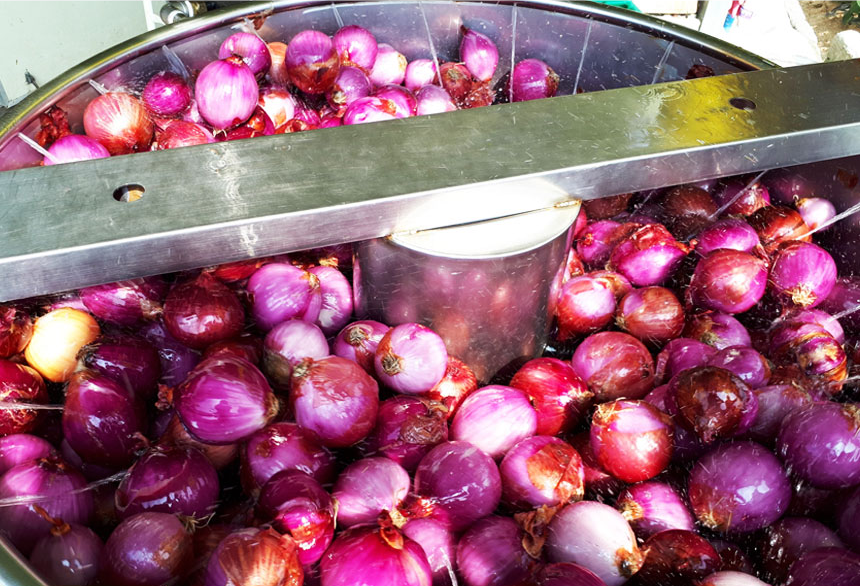 (25년 햇양파즙 예약 판매) 무안 적양파즙 적색양파즙 60팩 빨간양파즙 - 상세 이미지 5