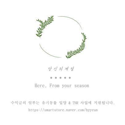 당신의계절 스토어 로고