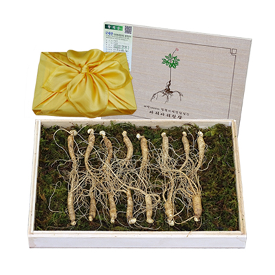 천봉산삼 스토어 로고