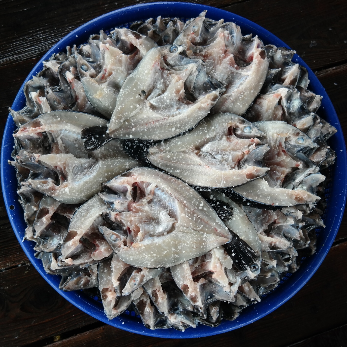반건조우럭 건우럭 구이 찜 말린 우럭포 매운탕재료 제수용생선 볼락 - 상세 이미지 3