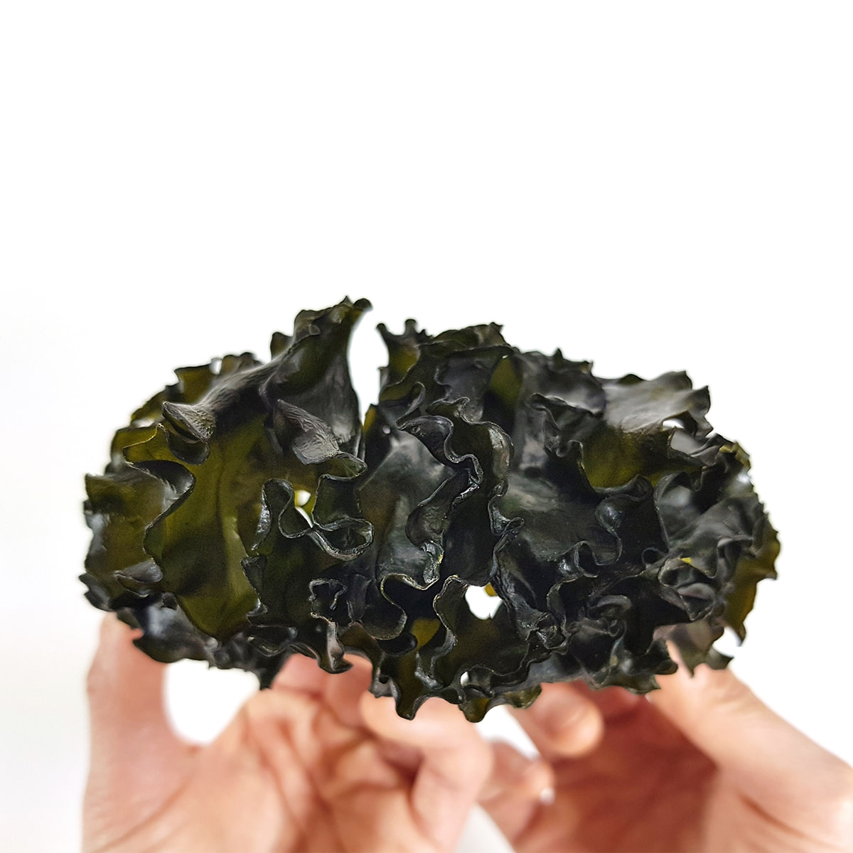 완도 미역귀 500g, 1개 이미지 7