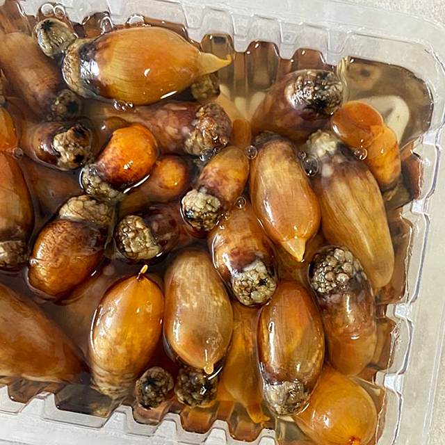신선보장 당일조업 통영 생물 참미더덕 손질 미더덕회 제철 500g - 상세 이미지 4