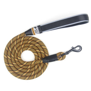 와일드독 로프 강아지리드줄 소형견 대형견 블루그린 S 솔직 후기 | 실제 사용자 리뷰 총정리 - 상품 이미지 3