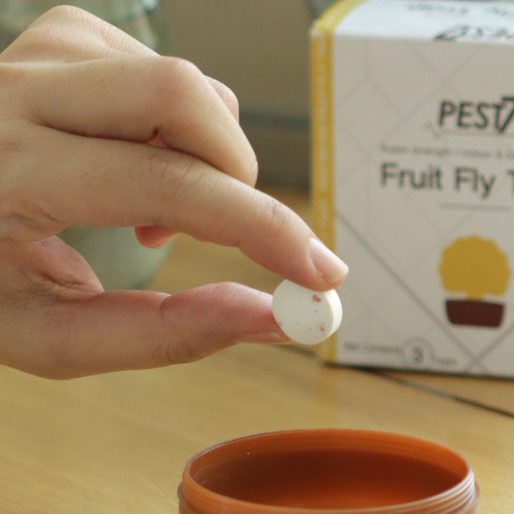 페스트세븐 초파리 트랩 퇴치 날벌레 날파리 나방 벼룩 뿌리 파리 끈끈이 없애는법 퇴치법 퇴치제 제거