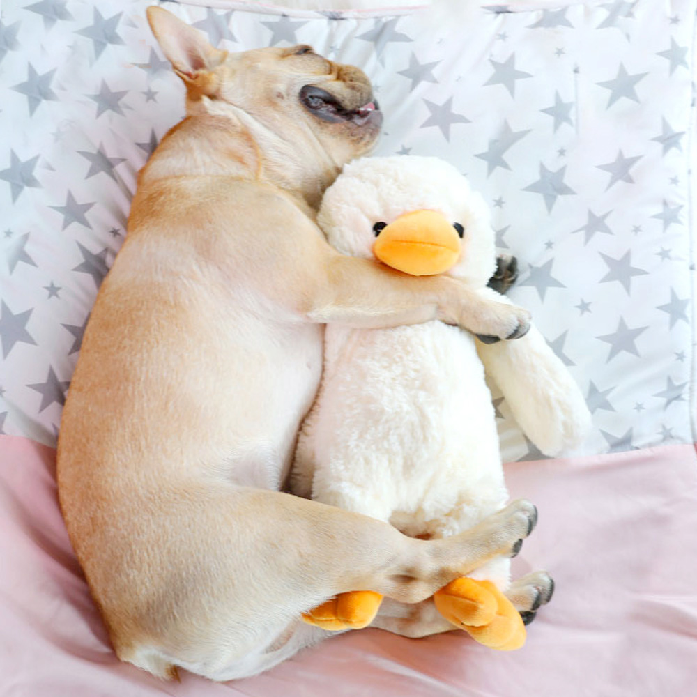 대왕 오리 삑삑이 인형 강아지 장난감