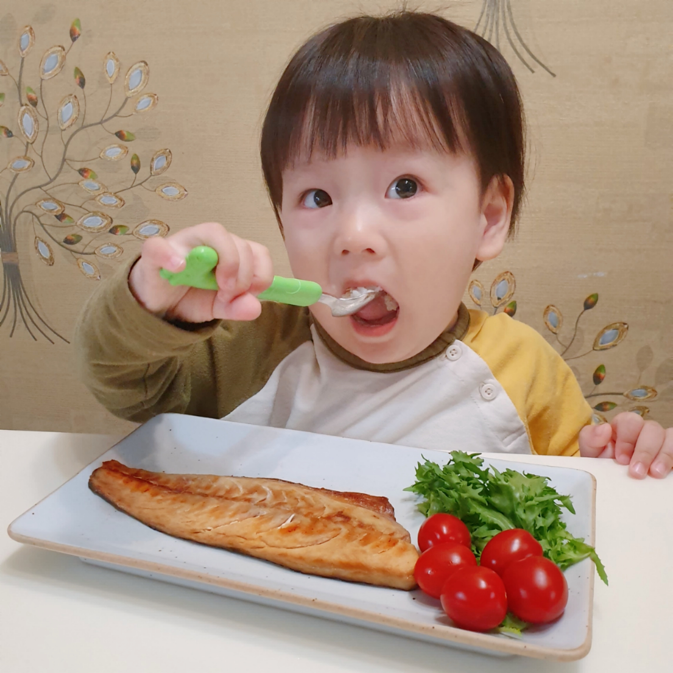 유아용 무염 순살 생선구이 6종 고등어, 삼치, 임연수, 가자미, 대구, 연어 각 1팩