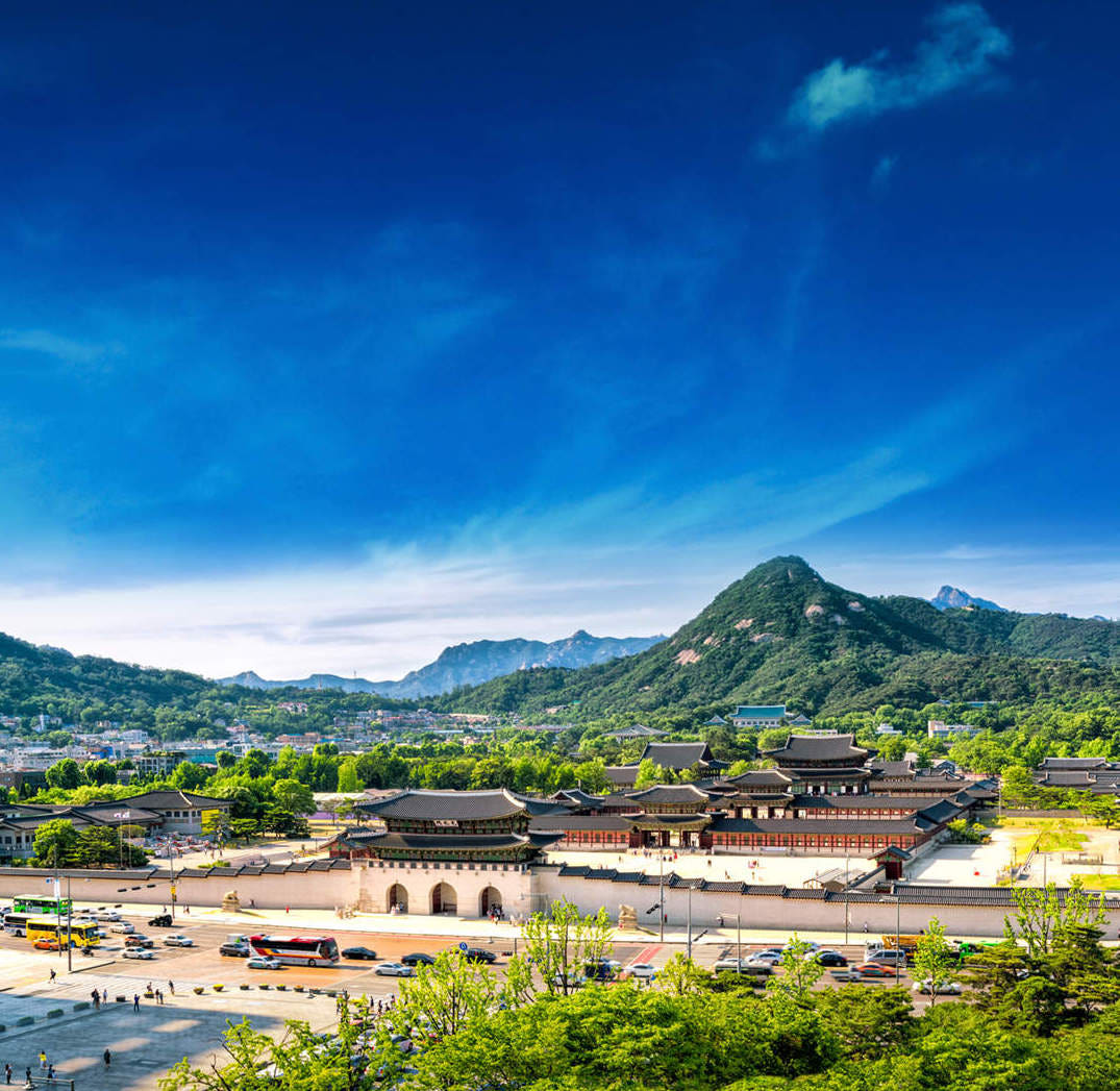 뜨거운청춘 경복궁 가이드 투어