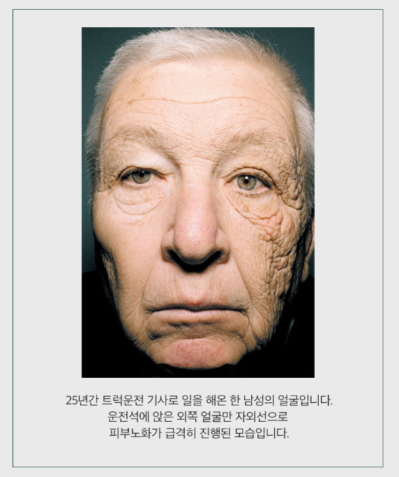 일상생활연구소 우산 3단 자동 접이식 답례품