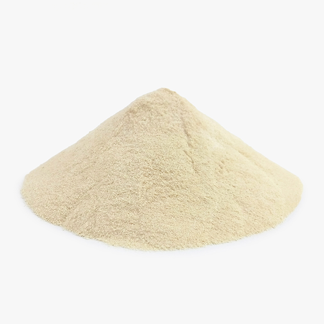 매스틱 메스틱 검 가루 분말 500g - 상세 이미지 2