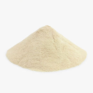 매스틱 메스틱 검 가루 분말 500g 맛있게 먹은 솔직 후기 - 상품 이미지 2