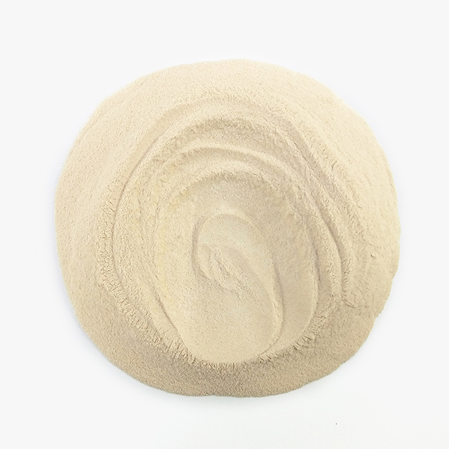 매스틱 메스틱 검 가루 분말 500g - 상세 이미지 4