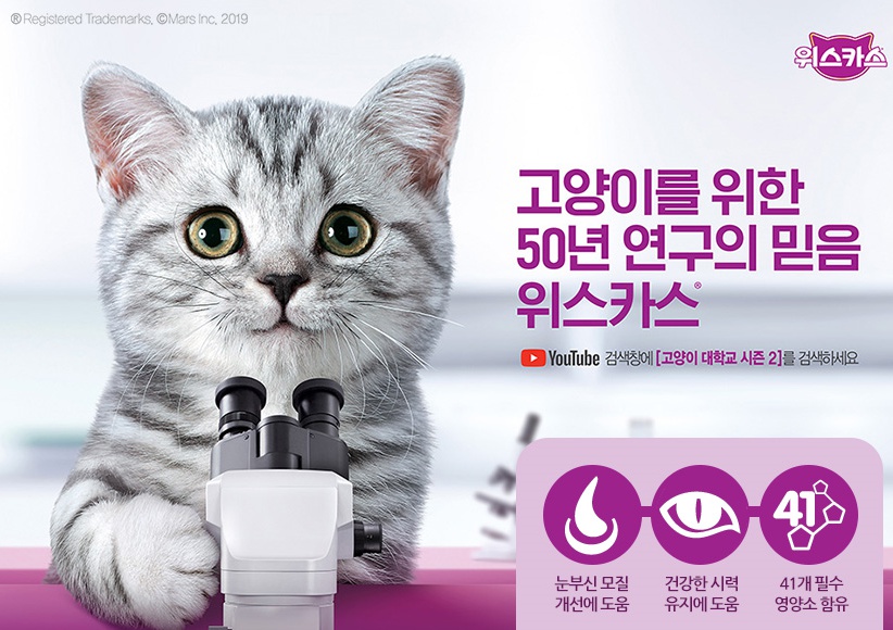 위스카스 고양이 사료 닭고기 3kg - 상세 이미지 2