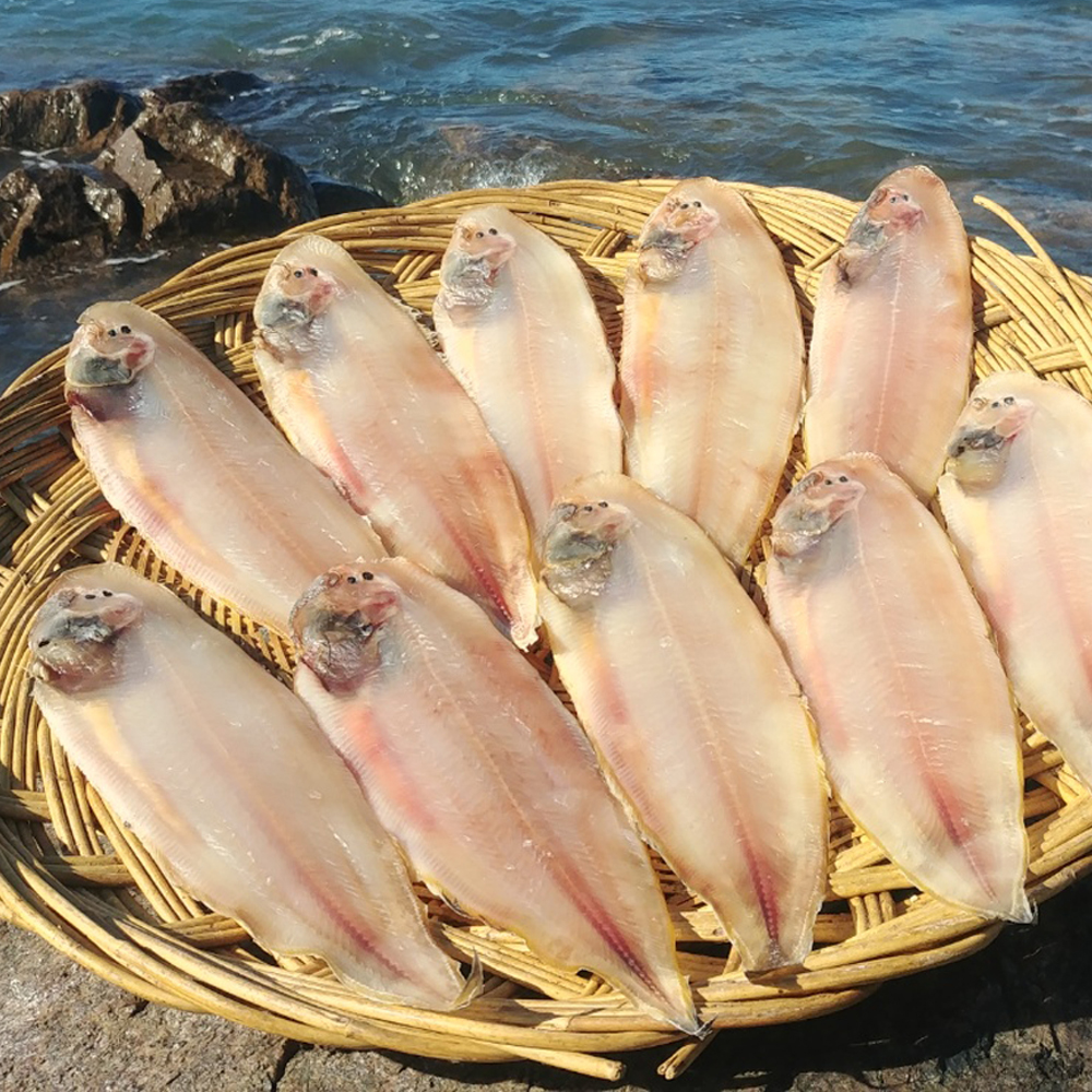 군산토백이가 판매하는 박대 5미 진공포장  [KBS생생정보통신 출현]