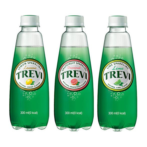 (60캔) 트레비 플레인 190ml x 30캔 / 2 BOX 이미지 3