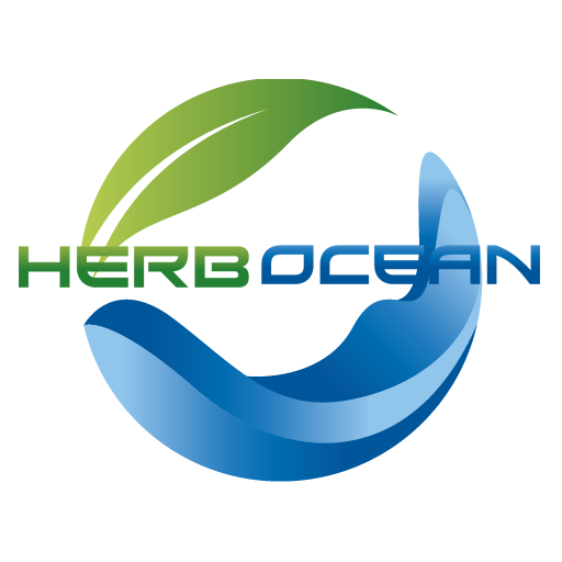 허브오션 스토어 로고