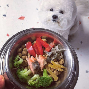 동해형씨 원물건조 연어 수제간식 85g 솔직 후기 | 실제 사용자 리뷰 총정리 - 상품 이미지 3