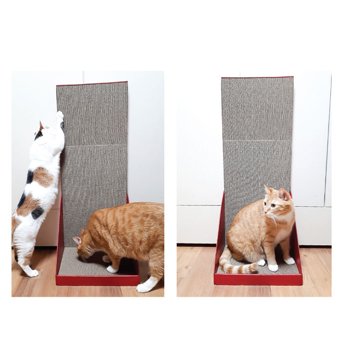 테비토퍼 플레이그라운드 버티칼 플러스 스크래쳐 - 상세 이미지 3